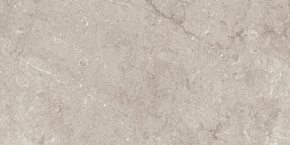 SALMA STONE MATT (29,5x59,5)