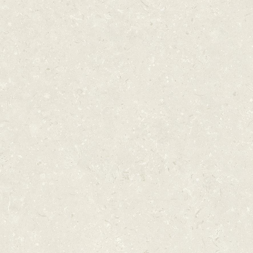 PIETRA CORAL NATURAL MATT RECT. 59,5x59,5 - B60