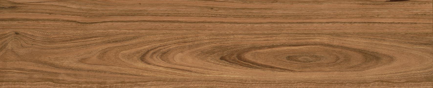 CORYMBIA HONEY GRIP 23x120 - B34