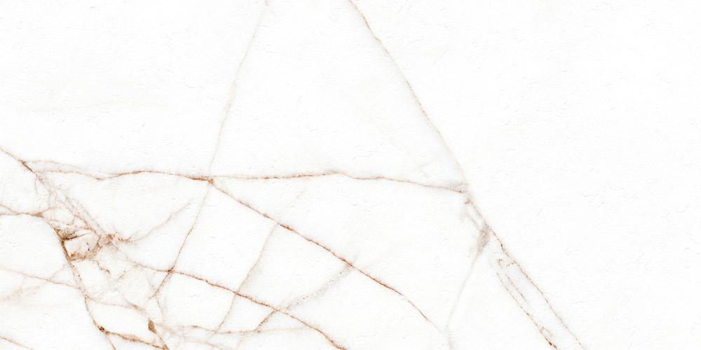 MELBOURNE POLISHED RECT. 60x120 - B54