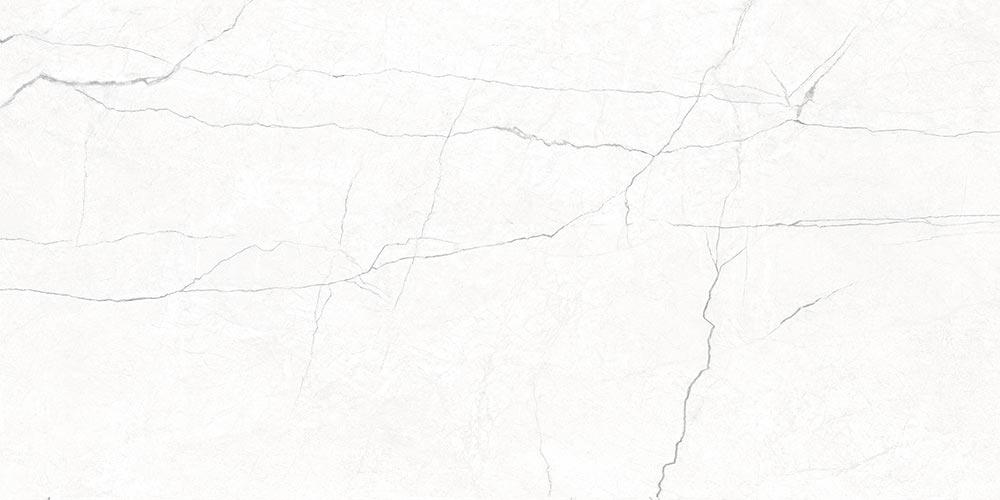 OMNIA WHITE POLISHED RECT. 60x120 - B54