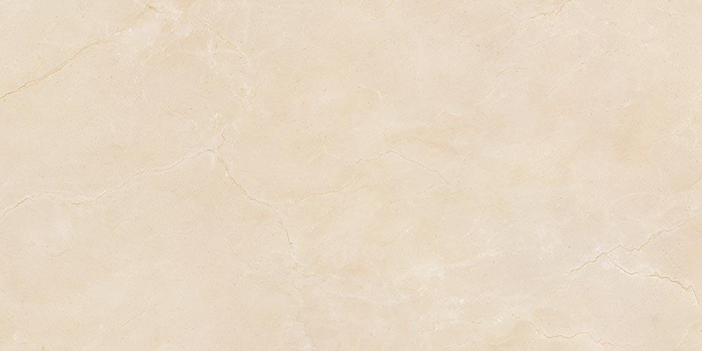 MARFIL SUPREME POLISHED 60x120 - B54